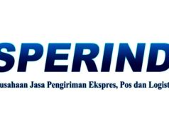 ASPERINDO Tolak Biaya Kargo Udara yang Kerek Biaya Logistik Nasional