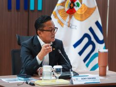 BUMN Pangkas 250 Entitas, IFG Ikut Sederhanakan 12 Anak Perusahaan