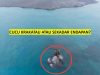 Misteri Daratan Baru Di Perairan Krakatau: Cucu Krakatau Aatau Sekedar Endapan?