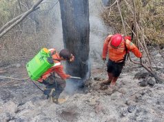 Perkembangan Situasi Dan Penanganan Bencana Di Tanah Air 25 Oktober 2026